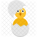 Chickling Chicken Easter Icon