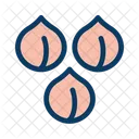 Chick Chickpeas Food Icon