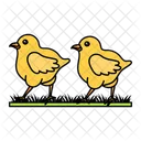 Chicks Icon
