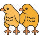 Chicks Chicken Poultry Icon
