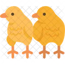 Chicks Chicken Poultry Icon