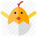 Chicks Baby  Flat Icon  Icon
