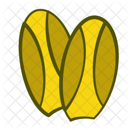 Chicory Icon