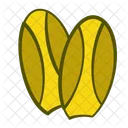 Chicory Vegetables Icon