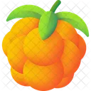 Mure Des Marais Fraiche Fruit Icon