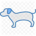 Chien Animal De Compagnie Animal Icon