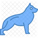 Chien Animal De Compagnie Animal Icon