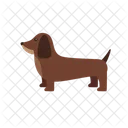 Chien Animal De Compagnie Animal Icon