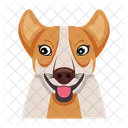 Chien  Icône