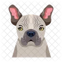 Chien  Icône
