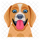 Chien  Icône