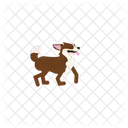 Chien Animal De Compagnie Animal Icône