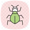 Chigger Insect Mite Icon
