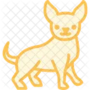 Chihuahua Perro Mascota Icono