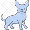 Chihuahua Perro Mascota Icono