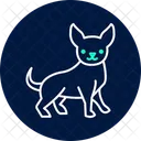Chihuahua Perro Mascota Icono