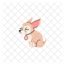 Chihuahua Chien Louche Icône