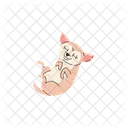 Chihuahua Dog Lying Icon