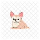 Chihuahua Sourire Chien Icône