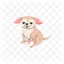 Chihuahua Chien Animal Icône