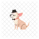 Chihuahua Hund Verkleidet Symbol