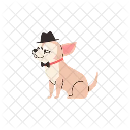 Chihuahua  Icône