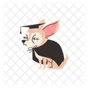 Chihuahua Chien Chapeau Icône
