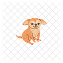 Chihuahua Chien Mignon Icône