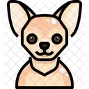 Chihuahua  Icon
