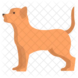 Chihuahua  Symbol