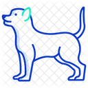 Chihuahua Dog House Icon