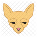 Chihuahua Dog Unamused Icon