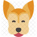 Chihuahua Animal Kingdom Mammal Icon