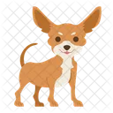Chihuahua Dog Puppy Icon