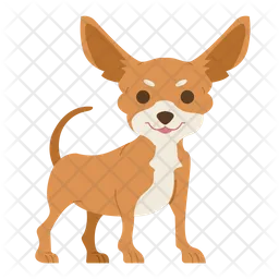 Chihuahua  Icono