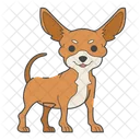 Chihuahua Dog Puppy Icon