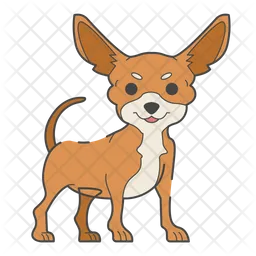 Chihuahua  Icon