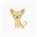 Chihuahua Dog  Icon