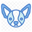 Chihuahua Dog  Icon