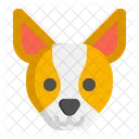 Chihuahua dog  Icon