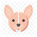 Chihuahua dog  Icon