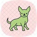 Chihuahua Dog Pet Icon
