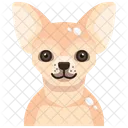 Chihuahua  Icon