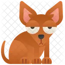Chihuahua  Ícone