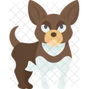 Chihuahua  Ícone