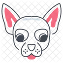Chihuahua  Ícone