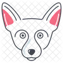 Chihuahua  Ícone