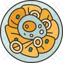 Chilaquiles  Icon