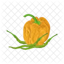 Chili Comida Picante Icon
