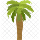Chilean Wine Palm Palm Tree Beach Icon